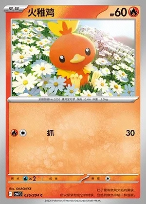 Torchic