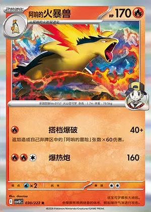 Ethan's Typhlosion