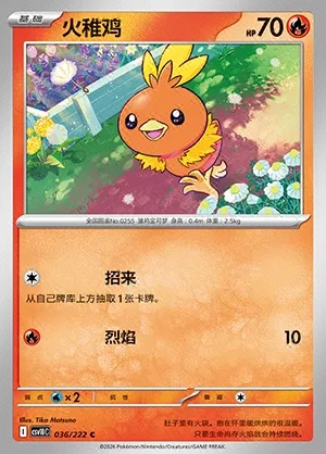 Torchic