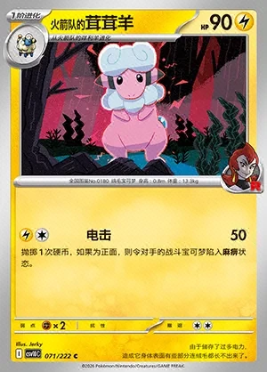Team Rocket's Flaaffy