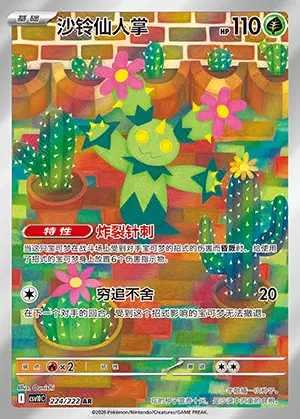 Maractus