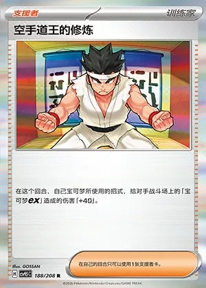 Black Belt's Training
